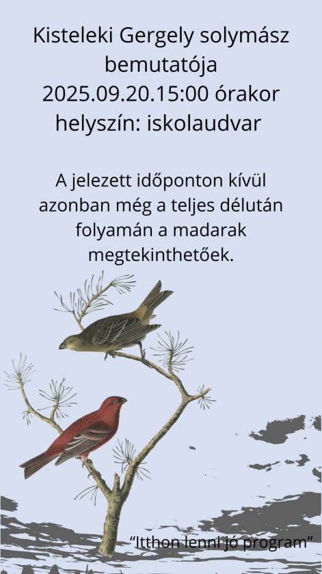 2488.jpg